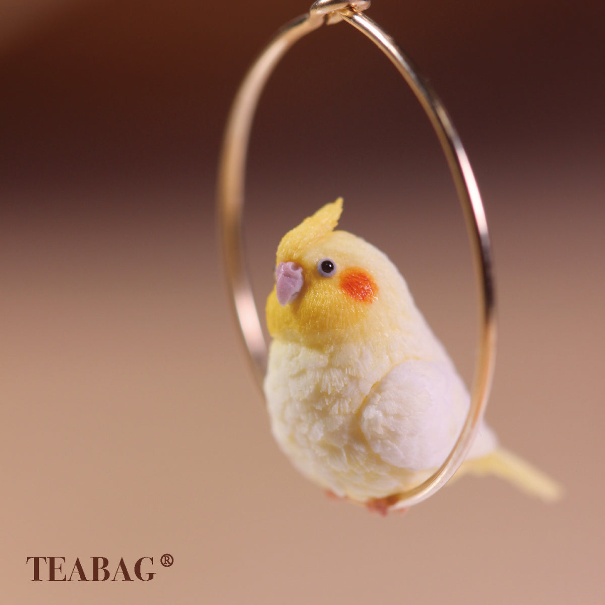 Close-up of the cockatiel face, yellow crest and orange cheek inside the hoop.