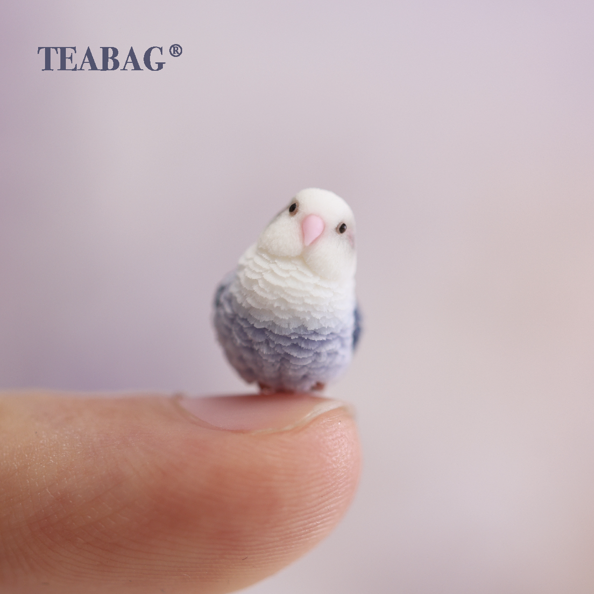 Tilted-head violet lovebird miniature resting on a fingertip to show its tiny scale.