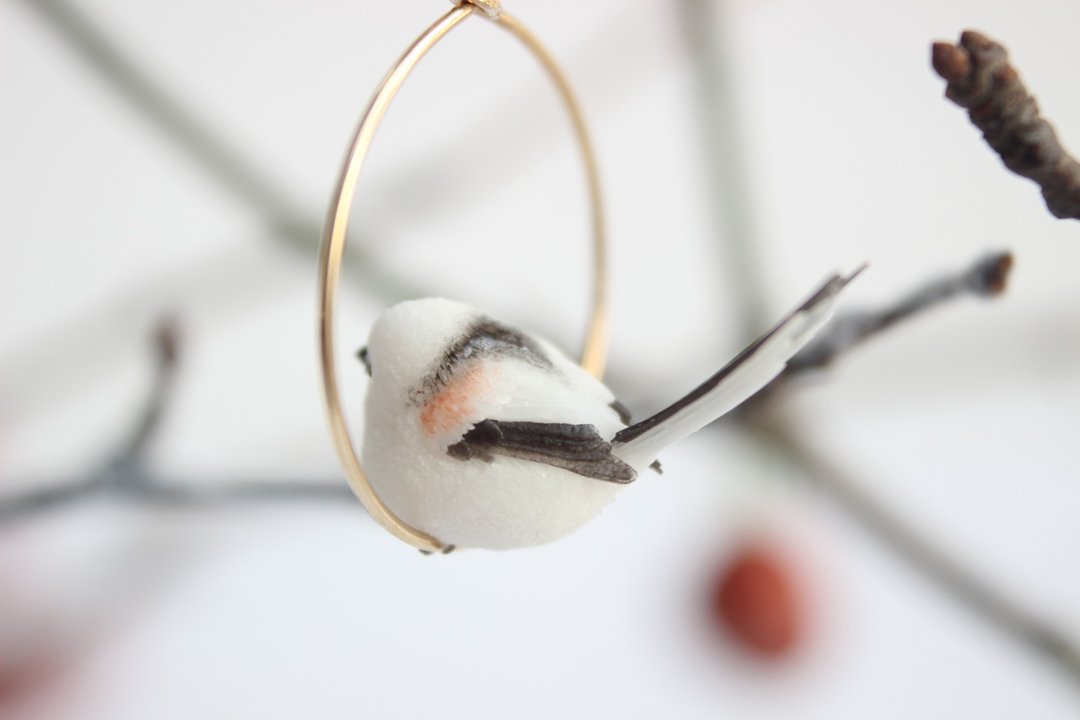 Close-up of the long-tailed tit from behind, showing the long tail extending beyond the hoop.