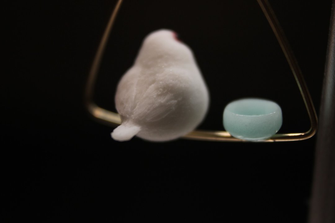 Back view of a white Java sparrow beside a pale-blue dish on the triangular hoop.