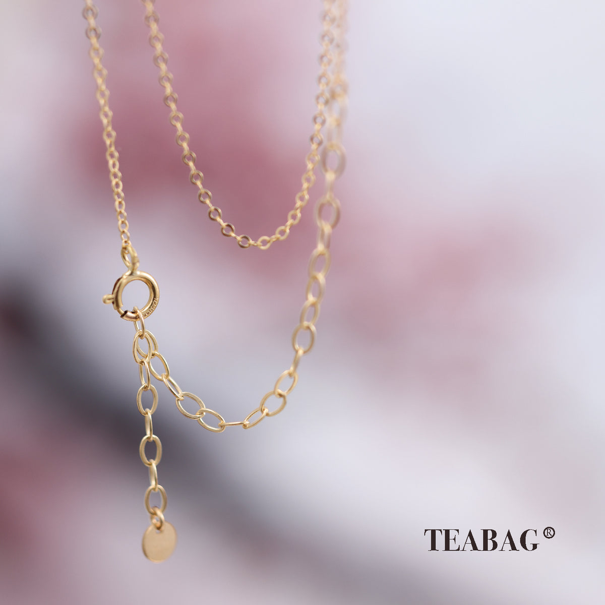 Close-up of the necklace spring-ring clasp, extension chain and small end disc.